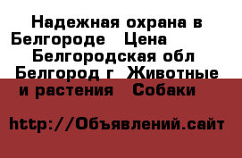 Надежная охрана в Белгороде › Цена ­ 7 000 - Белгородская обл., Белгород г. Животные и растения » Собаки   